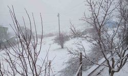 Posof'ta kar yağışı etkili oluyor