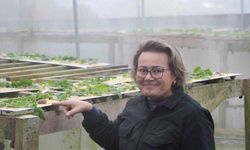 Trabzon’dan dünyaya ’Googlis’