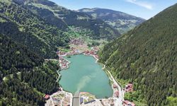 Uzungöl için acı gerçeği açıkladı