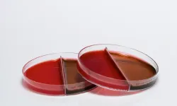 Mikrobiyolojinin Güvenilir Partneri: Medexia