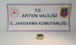 Artvin’de Bitki Kaçakçılığına 557 Bin Liralık Rekor Ceza