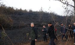 Hopa’daki Orman Yangını Tamamen Söndürüldü