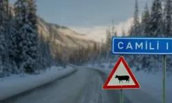 Macahel Yine Kışa Mahkum