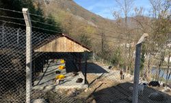 “Modern ve Doğal Yaşam Alanı Oluşturduk”