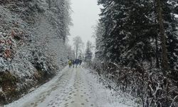 Patika’dan Borçka’da Doğa Yürüyüşü