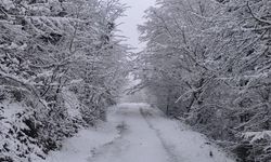 Artvin’in Yüksek Kesimleri Beyaza Büründü