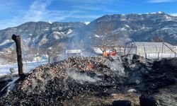 Ardanuç Tosunlu Köyünde Ahır Yangını