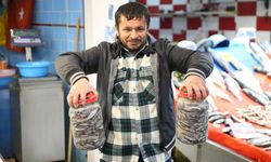 Karadeniz'de hamsi salamurası zamanı