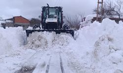 Ordu'da karla mücadele devam ediyor