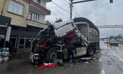 Samsun'da iki tırın çarpıştığı kazada 1 kişi yaralandı