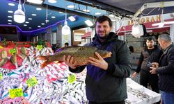 Samsun'da olumsuz hava koşullarının düzelmesiyle balık tezgahları yeniden şenlendi