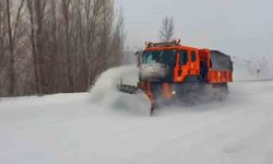 Kar durmadı, Karayolları ekipleri gece gündüz sahada
