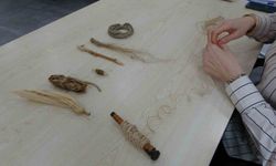 Mısır koçanı kıyafet oldu