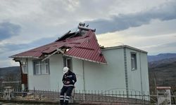Ordu'da fırtına nedeniyle çatı uçtu, ağaç devrildi
