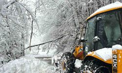 Ordu'da karla mücadele: 1 günde 457 mahalle yolu ulaşıma açıldı