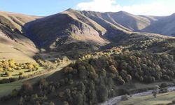 Sonbahardaki Güzelliğini Yaşanan Çığ Örttü