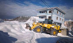 Trabzon'da karla mücadele çalışmaları sürüyor