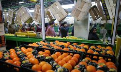 Tarım sektöründen 2025'te tüm zamanların en yüksek yıllık ihracatı