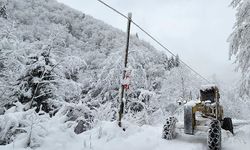 Doğu Karadeniz'in İç ve Yüksek Kesimlerinde Yoğun Kar Yağışı Bekleniyor