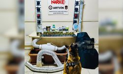 Artvin'de uyuşturucu madde ve yetiştirme düzeneği ele geçirildi