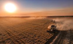 IPARD-III desteklerine Türkiye'nin dört bir yanından yoğun ilgi