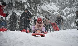 Artvin'in Şavşat İlçesinde Taşımalı Eğitime Yarın Ara Verildi