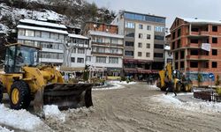 Karla Mücadele Seferberliği