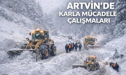 Karla Mücadele Çalışmaları Aralıksız Sürüyor