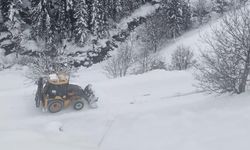 22 KÖY YOLU HALEN KAPALI