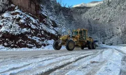 Artvin’de Karla Mücadele Sürüyor