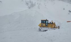 Macahel Yolu Ulaşıma Açıldı