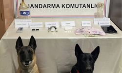 Hopa’da Uyuşturucu Operasyonu: 2 Kişi Tutuklandı