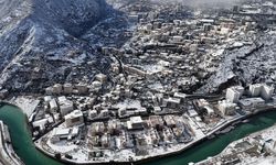 Artvin Ekonomisinde 2025 Tablosu