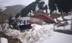 Ordu'da çığ düşmesi sonucu bir ev kullanılamaz hale geldi