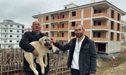 Baba oğul, çatıda ölümün eşiğindeki yavru köpeği kurtardı