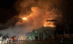 Ordu'da ambarda çıkan yangın marangoz atölyesi ve ahırı küle çevirdi