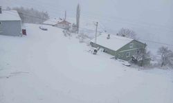 Posof'ta kar esareti