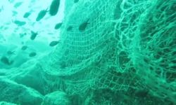 Prof. Dr. Coşkun Erüz: 'Karadeniz'in doğal ekosistemini ve biyoçeşitliliğini korumak için hayalet ağları temizlemek gerekli'