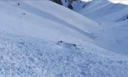 Doğu Karadeniz ve Doğu Anadolu İçin Çığ Uyarısı