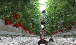 IPARD-III kapsamında 214 projeye 1,7 milyar lira hibe verilecek