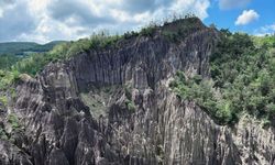 Türkiye'de korunan alan sayısı 692'ye yükseldi