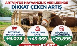 Hayvancılık Verilerinde Dikkat Çeken Artış