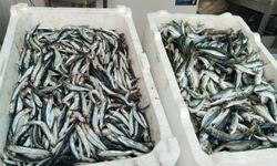 Balık Tezgâhları Ramazan’da Sakin