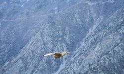 Yeniden Gökyüzüyle Buluştu