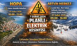 Hopa ve Merkez’de Planlı Çalışma