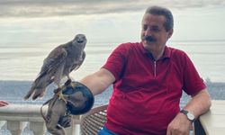 Doğu Karadeniz’de Atmacacılık Tartışması