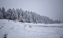 Kafkasör Yaylası Karla Kaplandı