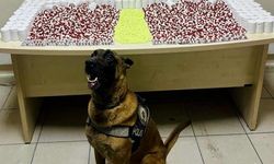 Artvin’de Uyuşturucu Operasyonu