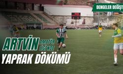 Yeşil Artvinspor Ligden Çekildi