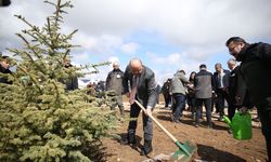 Kastamonu'da 'Türkiye'nin gücü orman' programında 1340 fidan dikildi